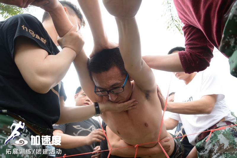電(dian)網5.jpg 電(dian)網5.jpg