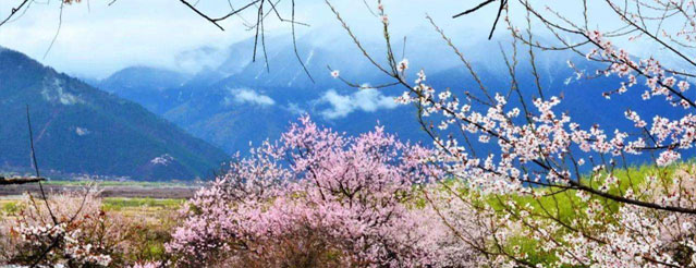 “春遊踏青季,團(tuán)建(jian)收心時“山(shān)美特2018春季團(tuán)建(jian)活動(dòng)及(ji)場(chang)地推薦7.jpg